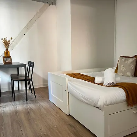 Appartement Le Citadin, Hyper Centre De *